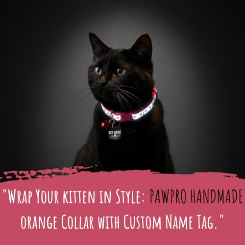Image of PAWPRO HANDMADE Reflective Cat Collar with Custom ID Tag - Adjustable Collar with Bell for Cats & Small Dogs - Personalized Name Tag (Cotton Candy)