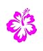 HIBISCUS FLOWER - Hawaiian - Car, Truck, Notebook, Vinyl Decal Sticker #1019 | Vinyl Color: Pink