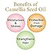 OSHIMATSUBAKI Hair Water Camellia oil Leave in conditioner Spray Repair, Moist, and Detangle hair for damaged and frizzy hair Fragrance free, Colorants free Mineral oil free (6.09 FL. OZ /180mL)