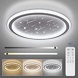 Upgrade Led Deckenleuchte Dimmbar mit Fernbedienung | NIXIUKOL LED Deckenleuchte Sternenhimmel Rund Flach Deckenlampe Schlafzimmer 24W | Ultra Dünn Led Panel Deckenleuchte für Wohnzimmer Küche | 30cm