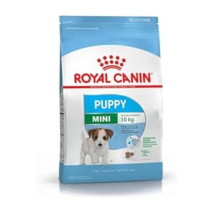 Royal Canin Mini Puppy Dry Dog Food, Meat Flavour, 800 Gram