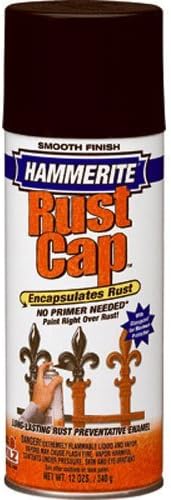 Masterchem Industries 42240 Spray Paint, 12 oz, Black