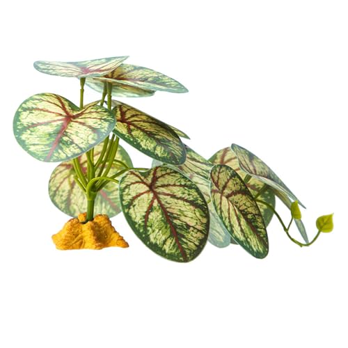 ঒ރNC~OOXeEAeEރgJQwrlHȂ