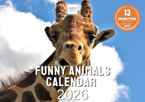 Funny Animals Calendar 2026 Hilarious Animal Wall Calendar UK A4 to A3 with Space for Notes Printed in the UK by Ruby Ashley