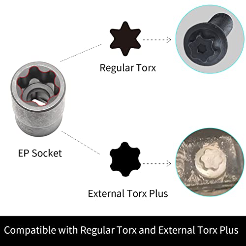 External Torx Plus Socket Set 6 Point Ep Socket Ep4, Ep5, Ep6, Ep7, Ep8, Ep10, Ep11, Ep12, Ep14, Ep16, Ep18, Ep20, Ep22, Ep24, Ep26, Ep28, Ep30, Ep32 With 1/2'' 3/8'' 1/4'' Dr E-Torx Plus Socket 19Pc #TOP3