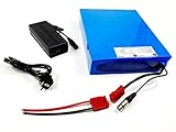  TZIPower 48 V 40 Ah Batería Pack PVC E-Bike batería S Bike Bicicleta eléctrica Iones Marco batería Roller Scooter Plug-It para Herramientas