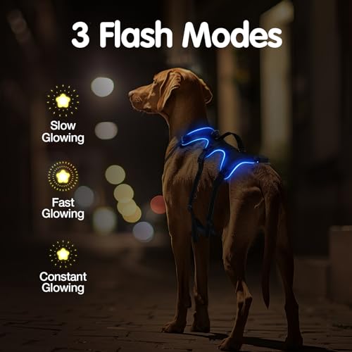 Jewyow Hundegeschirr Leuchtend, Wiederaufladbare LED Hundegeschirr, Led Geschirr für Hunde mit Weicher Griff, 3 Einstellbare Modus, Wasserdicht für Mittelgroße, Große Hund, Blau-L