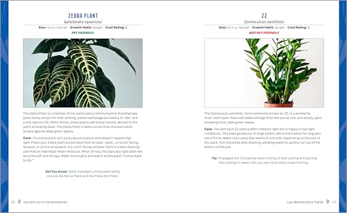 Houseplants for Beginners: A Practical Guide to Choosing, Growing, and Helping Your Plants Thrive - Thumbnail 6