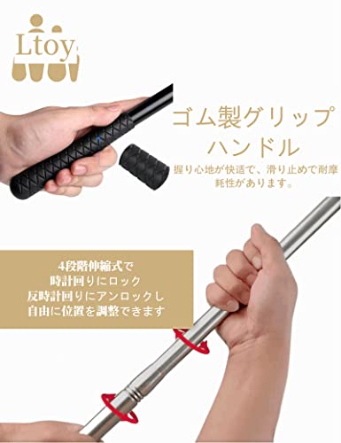 Ltoy 虫取り網 虫網 伸縮式 4段伸縮 プロ仕様 子供 大人用 虫あみ むしあみ 昆虫採集 網 魚取り 水陸両用 コンパクト 丈夫 大きい 長い 深い 携帯型 取り外し可能 長さ41-175cm 直径25センチ 袋長さ48cm (パープル) 3枚目