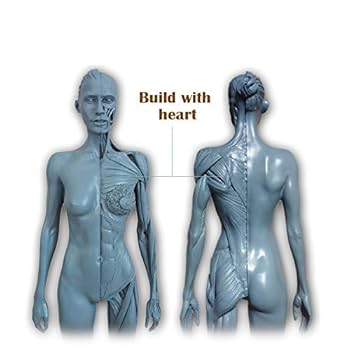 Educational Model Female Anatomy Figure - 30Cm Human