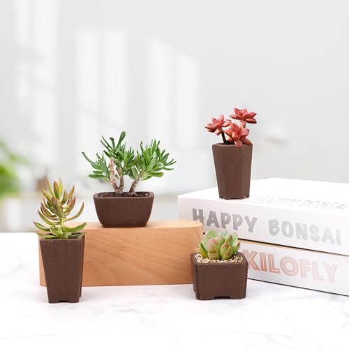 happy bonsai Zisha Mini-Bonsai-Töpfe, 5,1 cm breit, 4 Stück