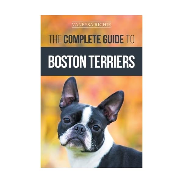 The Complete Guide to Boston Terriers: Preparing For, Housebreaking, Socializing, Feeding, and Loving Your New Boston Terrier Puppy The Complete Guide to Boston Terriers: Preparing For, Housebreaking, Socializing, Feeding, and Loving Your New Boston Terrier Puppy