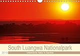 South Luangwa Nationalpark (Wandkalender 2019 DIN A4 quer): Reiche Tierwelt, unberührte Natur in Sambia (Monatskalender, 14 Seiten ) (CALVENDO Orte) - Wibke Woyke