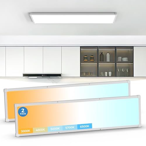 Aphyni 1x4 LED Flat Panel Light Surface Mount 2 Pack,5CCT Selectable,White