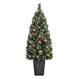 4 ft B/O Potted Cascade Pine Tree. 100 Tips, 100 Warm White LED Lights, Plastic Pot (3 x D Batteries not Included), 6/18 Hours On/Off Timer Function