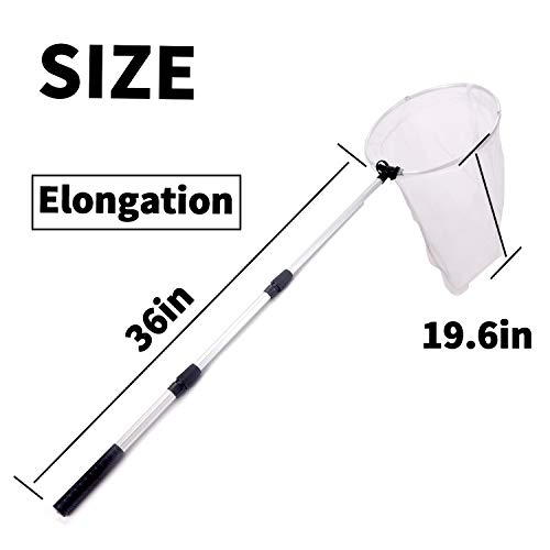 Rngeo 2 Pack Telescopic Butterfly Net, Extendable Fishing, Insect Toy Nets for Kids and Family, Aluminum Alloy (Silver Extends to 36 Inches, Blue Extends to 26 Inches, Pack of 2)