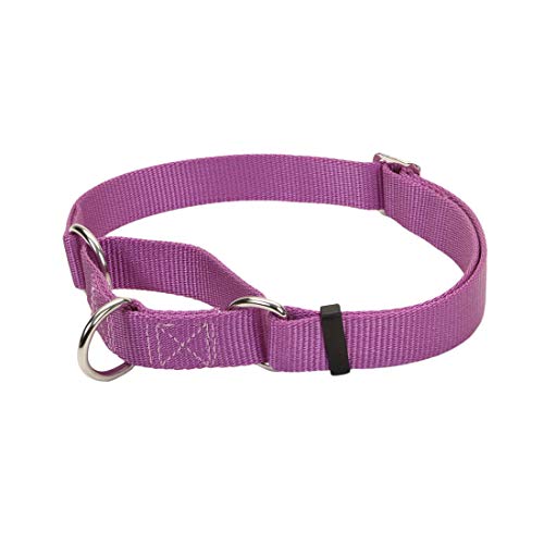 Coastal Pet - No Slip - Martingale Adjustable Dog Collar, Orchid, 1