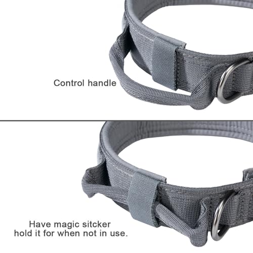 Collier nylon tactique réglable pour chien de taille moyenne avec boucle métal - 5