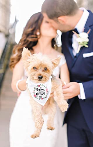 Ptzizi Funny My Humans Are Getting Married White Pet Dog Bandana Bibs Scarf, Wedding Photo Prop Pet Accessories For Dog Lovers Gift #TOP3