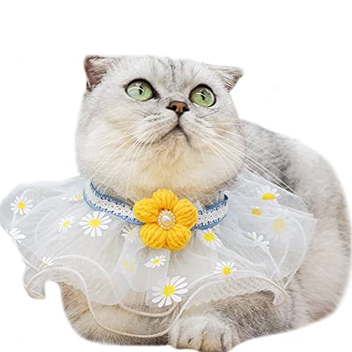 HIGHAWKybgo_i XJ[t 悾ꂩ  Lp p 킢  [X ybgANZT[i[X Sj