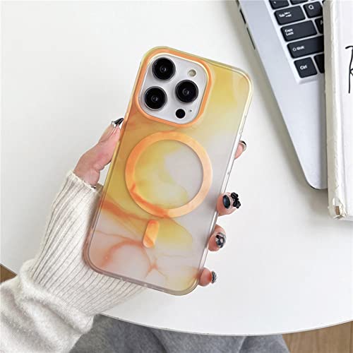 Coque de téléphone peinture aquarelle iPhone 14 Pro Max housse magnétique iPhone 13 Pro