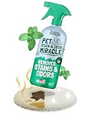 Sunny & Honey Pet Stain and Odor Remover - Enzyme Cleaner for Dog Urine and Poop on Carpets and Furniture - Strong Pet Carpet Cleaner Spray (32fl oz Mint)