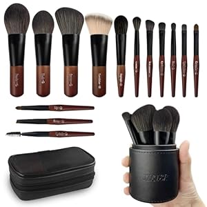 Jilier Travel Makeup Brush Set, 14 pcs Mini Makeup Brushes for Foundation, Powder, Eyeshadow, Highlight, Contour, Blush & Concealer, Small Makeup Brush Set Purse Size with Case