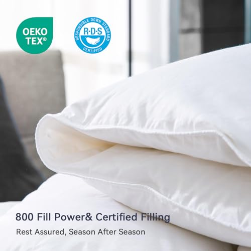 Globon Goose Down Comforter Queen Size, 800 Fill Power All Seasons Luxury Duvet Insert, Soft 420 Thread Count Noiseless Shell, Medium Weight with 8 Corner Tabs,White