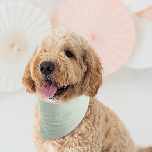ICEMOOD Haustier-Baumwoll-Bandanas mit verstellbarem Druckknopf für kleine Welpen – Einfarbiges Hundehalstuch,Erbsengrün,M