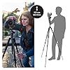 Manfrotto Befree Advanced AS, kamerastativ, spaklås, kompatibel med Arca-Schweiz, bärbar, kompakt resestativ kit, kulhuvud, aluminiumstativ för DSLR, spegelfria kameror, kameratillbehör #2