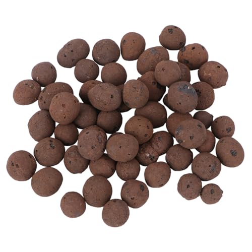 DIYEAH Pietre Decorative in Argilla per Piante Succulente Substrato Traspirante per Coltivazione Fuori e Fondo Vasi Rocce Naturali per Giardino e Decorazioni Fioriere