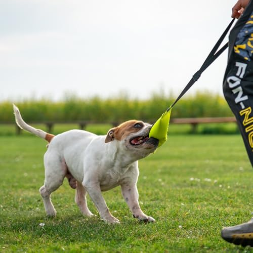 Bull Fit Bungee Beisswurst für Hunde, 25 cm mit Handschlaufe - Sehr Robustes Hundespielzeug zum Training, Tauziehen und Zerrspiele mit Hund - Aus hochwertigem Feuerwehrschlauch handgefertigt