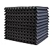 12 Stück Akustikschaumstoff Schallschutz Schaum Matte, Keilschaumstoff Schalldichter Schwamm-Wandaufkleber, Soft Soundproof Foam Schaum-Fliesen für Zuhause und Studio, 30x30x2.5cm (Schwarz)