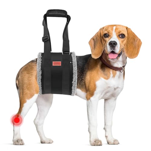 Image of Adjustable Dog Lift Harness, Dog Sling for Large Dogs Hind Leg Support, Soft Lift Support Helps Senior, Injured, Disabled and After ACL Surgery Dogs-Black & Grey (Medium)