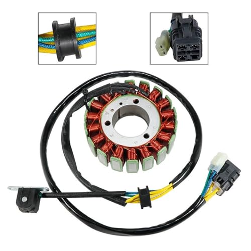 Bobine de stator de générateur de moto pour raid Gamax 250 - 2