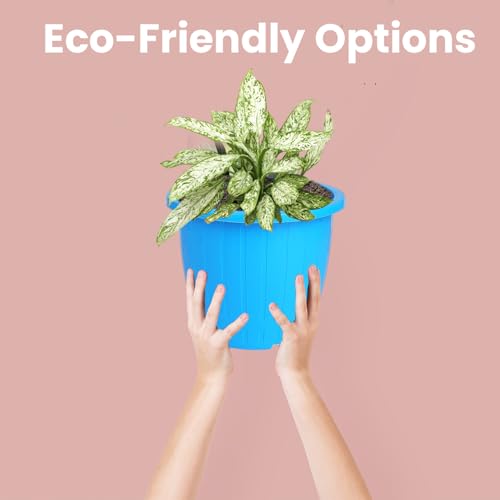 Image of Go Hooked Sunshine Flower Pot /Planters for Home Decor, Plastic Pots for Gardening /Home, Flower Pots Indoor-Outdoor & Planter for Plants (Blue) (Pack of 3)