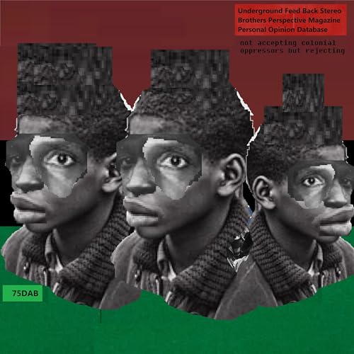 Underground Feed Back Stereo - Brothers Perspective Magazine - not accepting colonial oppressors but rejecting