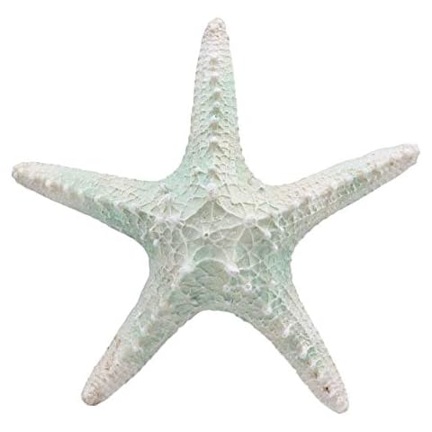 Ebros Large Ocean Coral Sea Starfish Statue Cover