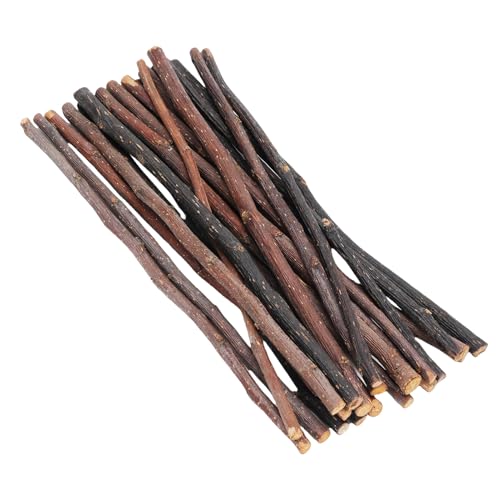 Sunisfa 20pcs Bastes Guloseimas Molares Coelhos de Coelho Hamster Gerbil Squirrel Comida Lanche Mate