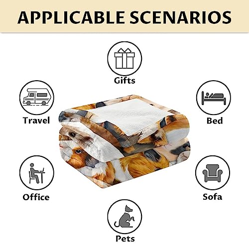 Guinea Pig Blanket Gifts - 60x80 Inches Cute Throw for Girls & Boys - Brown Soft Fuzzy Blankets for Bed, Couch & Living Room