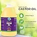 100% Pure Castor Oil - Cold-pressed, Unrefined, Hexane-free - Premium Quality - USP Grade (1 Gallon)