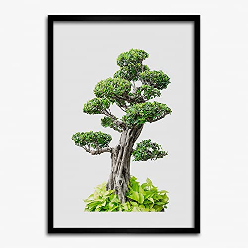 Cadre en Bois Photo Tulup 50x70 cm Tableau Décoratif Affiche Moderne Peinture Bonsaï Mf
