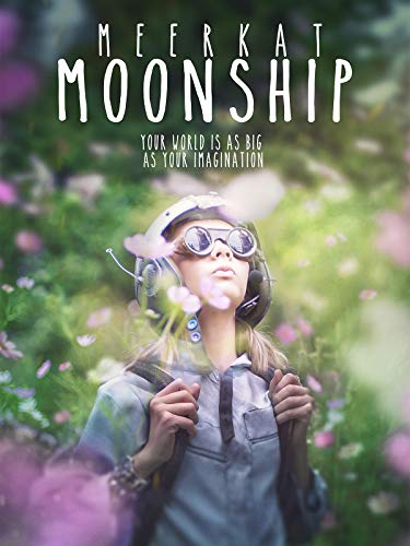 Meerkat Moonship