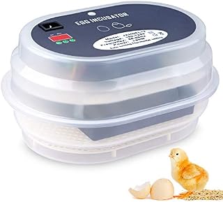 Egg Incubator, HBlife 9-12 Digital Fully Automatic Incubator for Chicken Eggs, Poultry Hatcher