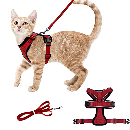 Monsully Harnais Chat Petit Chien Laisse Harnais Chaton Réglable Refléchissant Gilet Respirant Collier Harnais et Laisses Sécurité Anti-évasion pour Petits Chats de Taille Moyenne (XS, Rouge) Cover