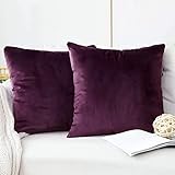FORTRY Juego de 2 fundas de cojín de terciopelo suave y sólido, 45 x 45 cm, fundas de cojín decorativas cuadradas, fundas de cojín decorativas para sofá, dormitorio, cojín de terciopelo, color berenjena lila