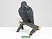 YTC Summit International Black Raven Bird on Tree Branch Figurine Crow Gothic Decoration Collectible New