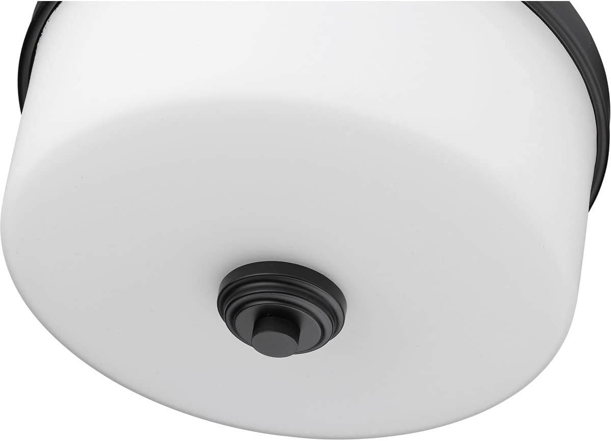 Z-Lite 3 Light Flush Mount 220F3-MB,Black