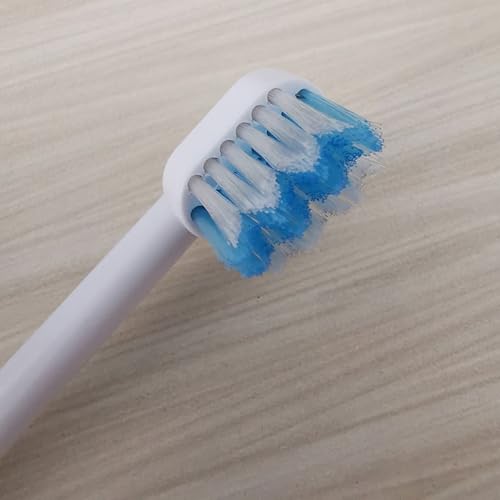 Têtes de brosse de rechange pour hydropulseur buccal jet d'eau et irrigateur oral blanc