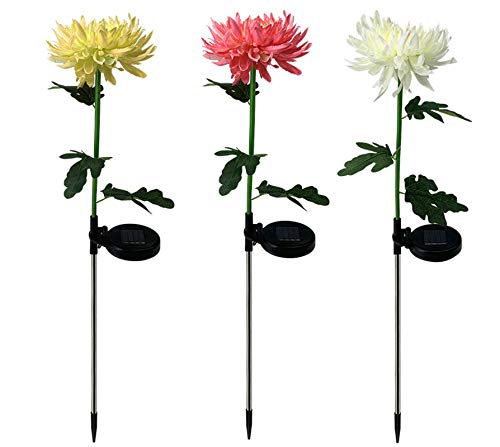 Fleurs à Énergie Solaire Lumières Extérieures pour Illuminer vos Soirées en Terrasse